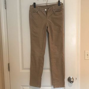 Loft Corduroy Skinny Jeans